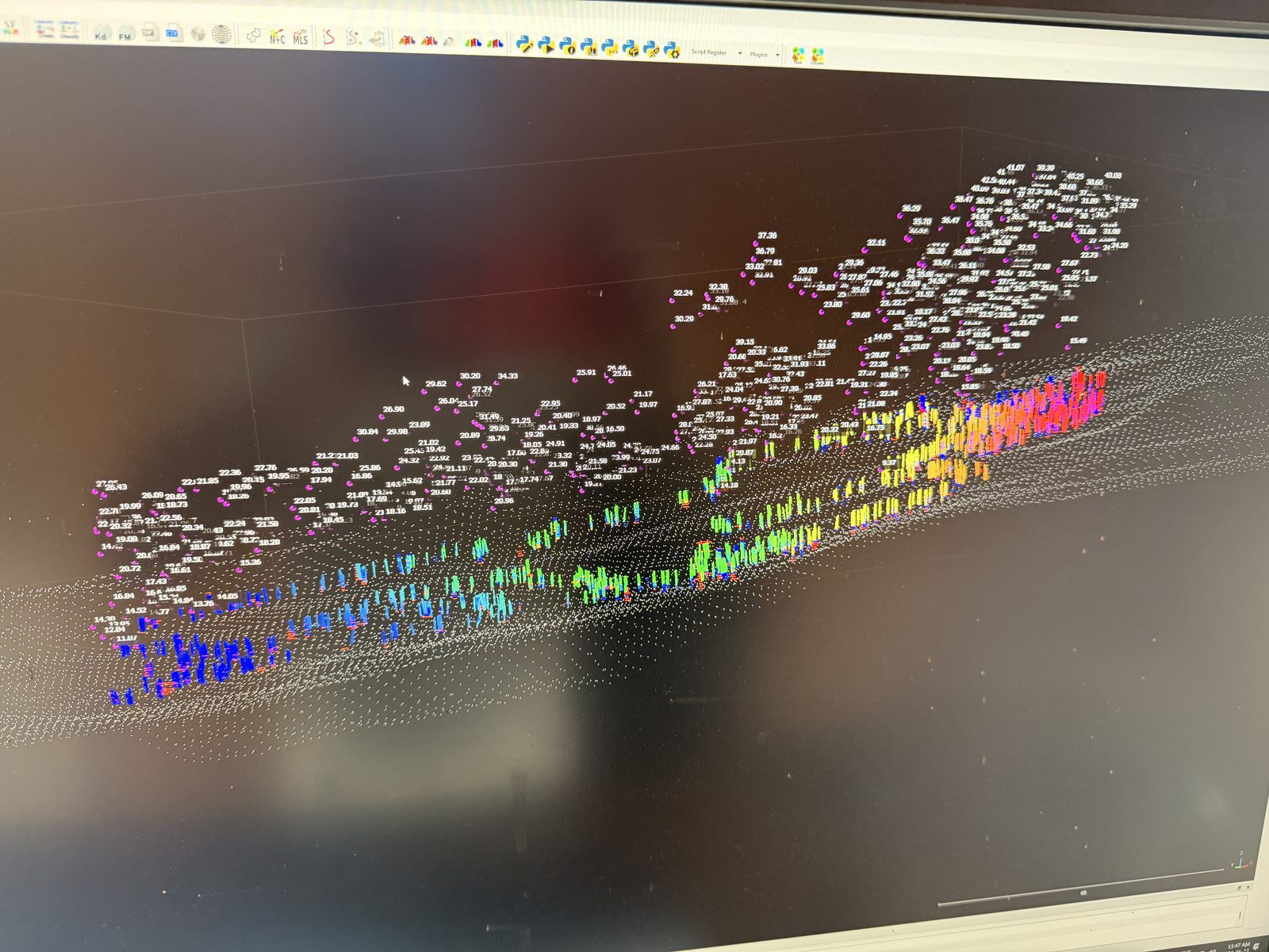 Desktop point-cloud software showing a height-coloured forest cloud over a ground mesh