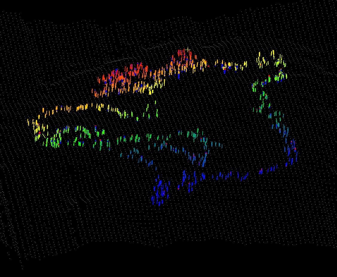 Point cloud with individual tree stems isolated and coloured separately