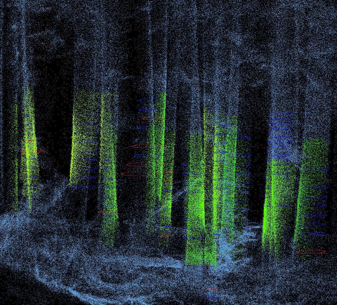 LiDAR point cloud of a forest stand, trunks lit green over a measured ground surface